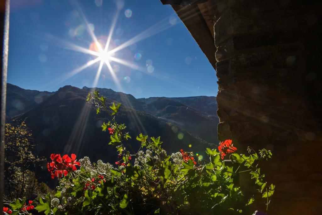 Le Petit Coeur Otel Fontainemore Dış mekan fotoğraf